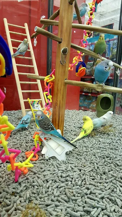Petco Picture 3