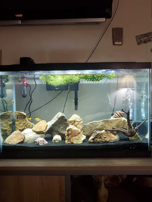 Petco Picture 6