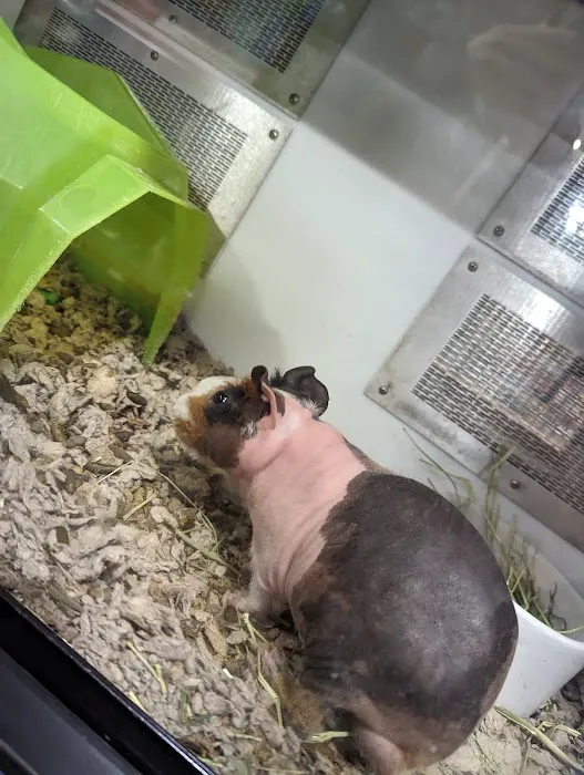 Petco Picture 10