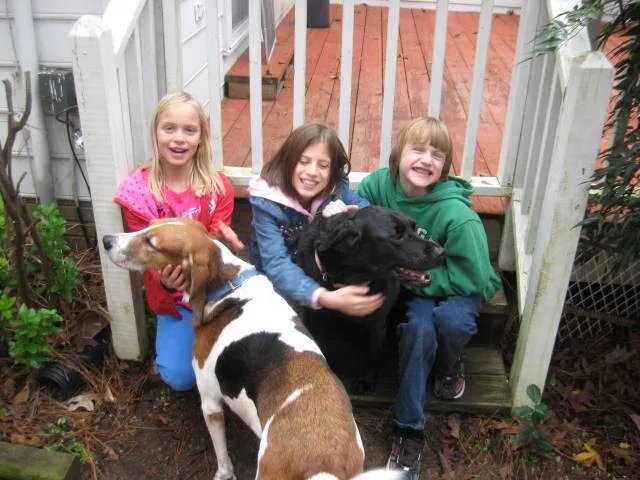 HOME VET CARE MOBILE VETERINARY SERVICE Picture 3