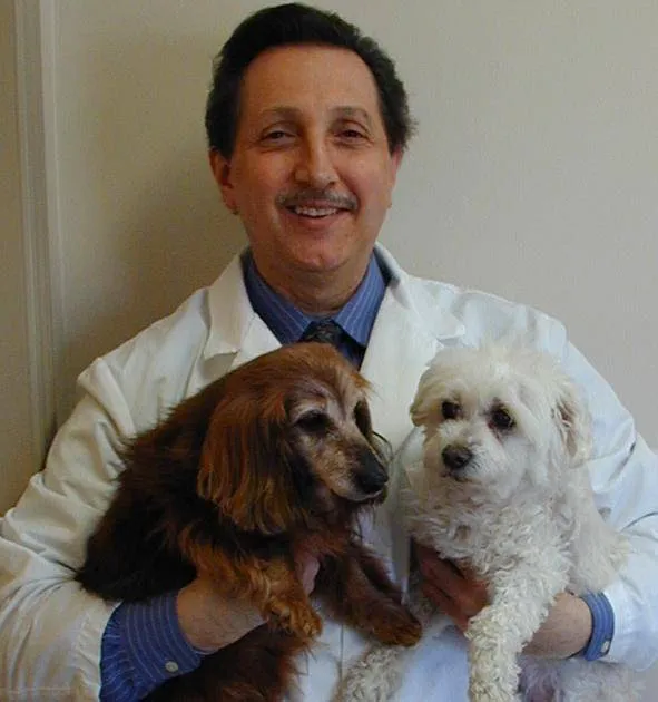 HOME VET CARE MOBILE VETERINARY SERVICE Picture 2