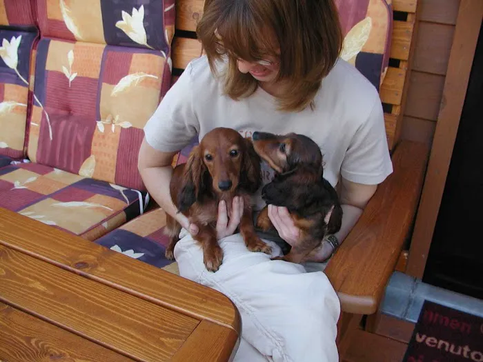 HOME VET CARE MOBILE VETERINARY SERVICE Picture 4