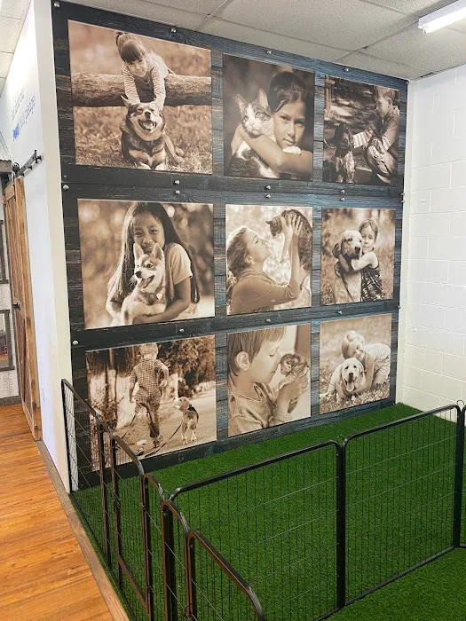 Puppygram Indiana Picture 1