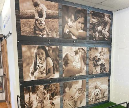 Puppygram Indiana
