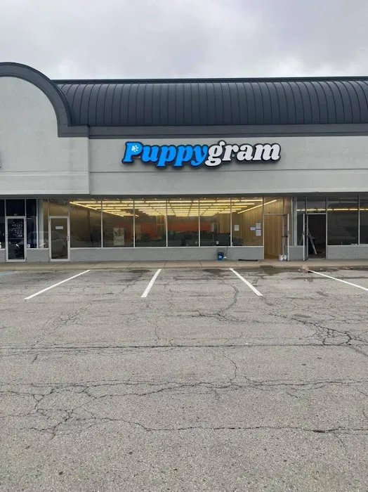 Puppygram Indiana Picture 10