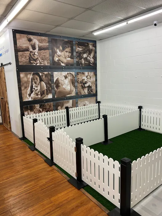 Puppygram Indiana Picture 9