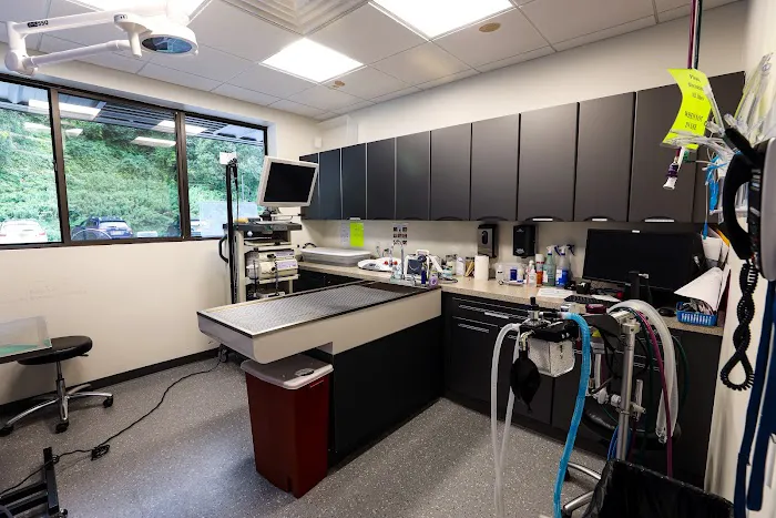 Guardian Veterinary Specialists Picture 8
