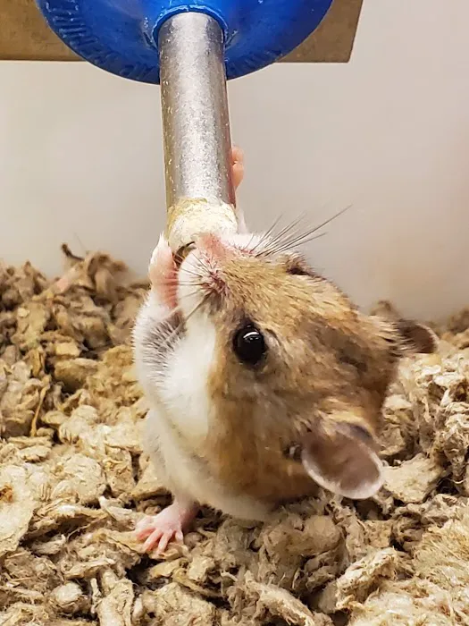 Petco Picture 3