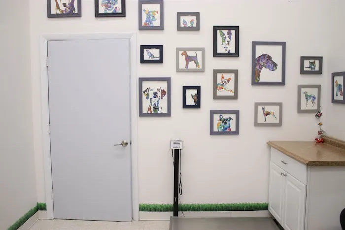 Putnam Animal Wellness Picture 8