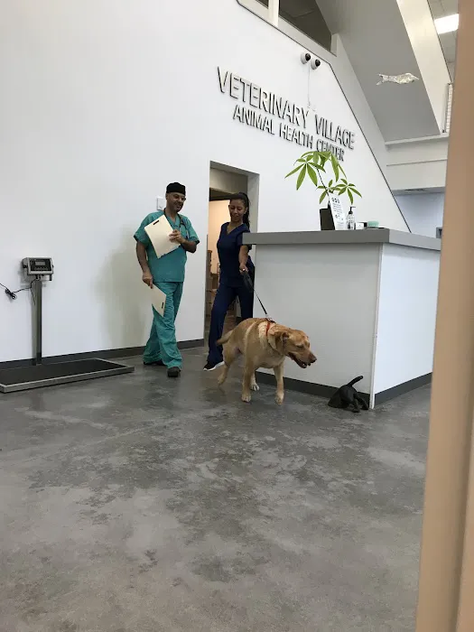 Animal Health Center Picture 3