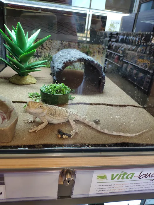 Md-Va Veterinary Behavioral Picture 2