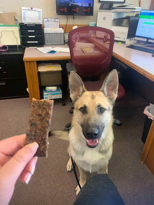 Md-Va Veterinary Behavioral Picture 8