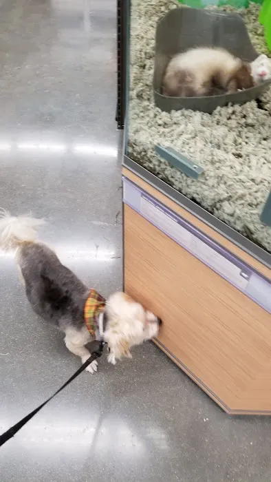 Petco Picture 1