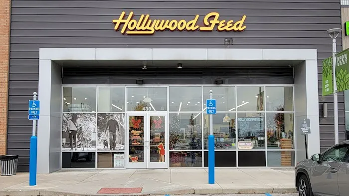 Hollywood Feed Picture 1