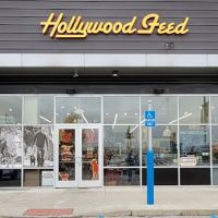 Hollywood Feed ico