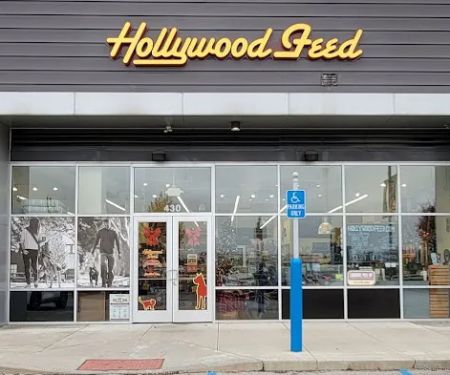 Hollywood Feed