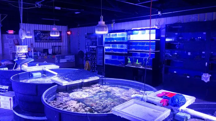 Premium Aquatics Picture 9