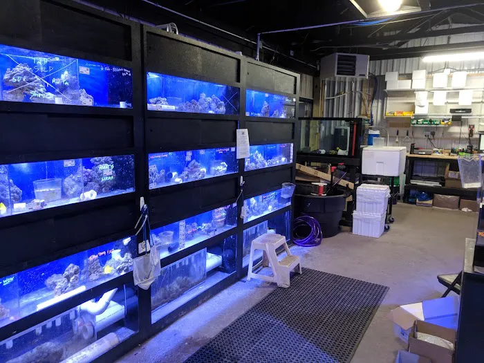 Premium Aquatics Picture 6