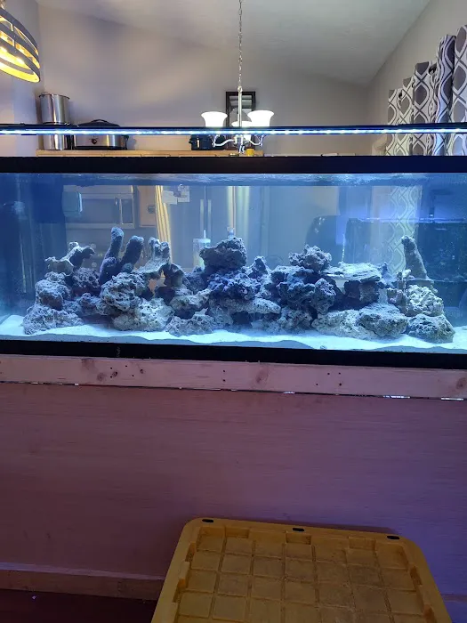 Premium Aquatics Picture 7