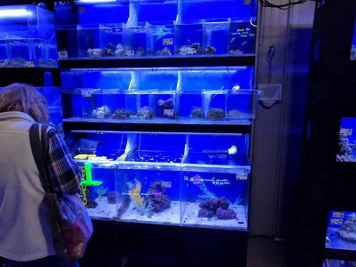 Premium Aquatics Picture 10
