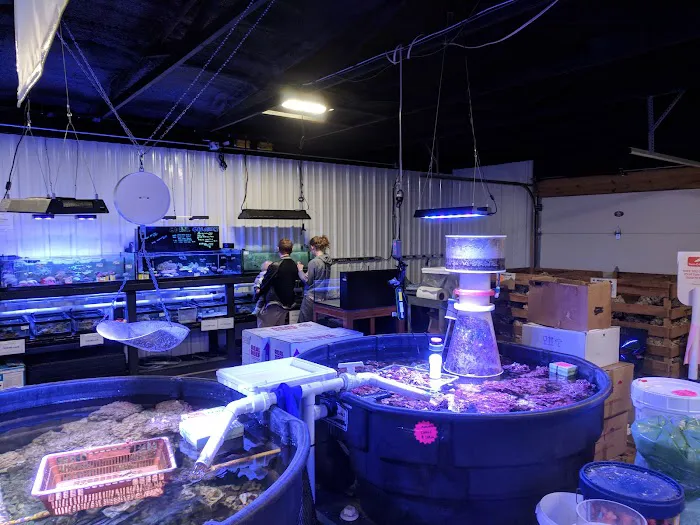 Premium Aquatics Picture 8