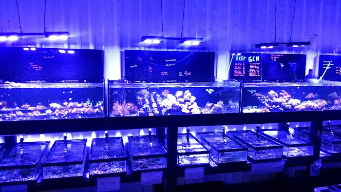 Premium Aquatics Picture 11