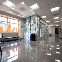 Armory Dog & Cat Hospital: Stampler Martin DVM ico