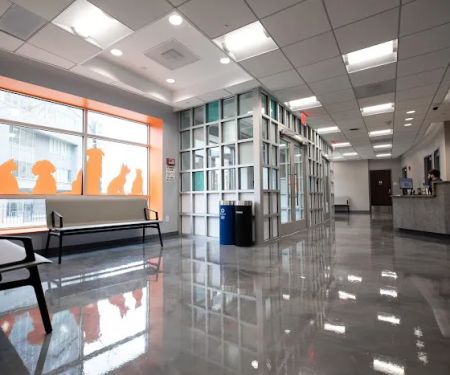 Armory Dog & Cat Hospital: Stampler Martin DVM