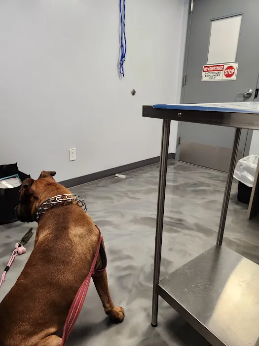 Armory Dog & Cat Hospital: Stampler Martin DVM Picture 3