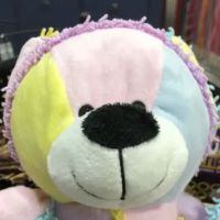 2Guyz Boutique for Pets ico