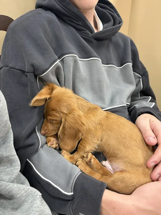 Premier Farm & Pet Picture 7