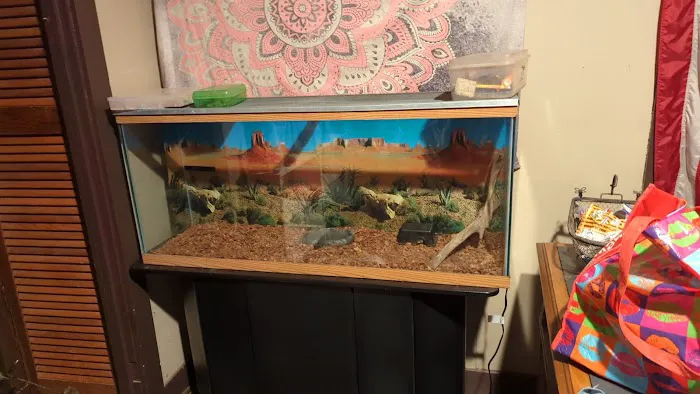 Scales N Tails Exotic Pet Supply Picture 3