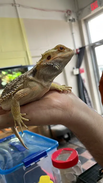 Scales N Tails Exotic Pet Supply Picture 6