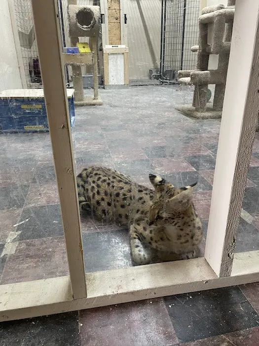 Scales N Tails Exotic Pet Supply Picture 7