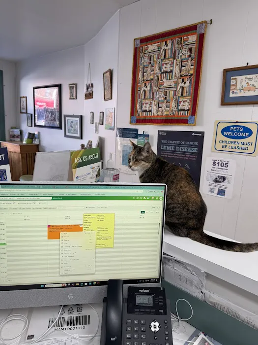 Mobile Veterinary Animal Clinic Picture 8