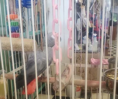 Scottsburg Pet Center