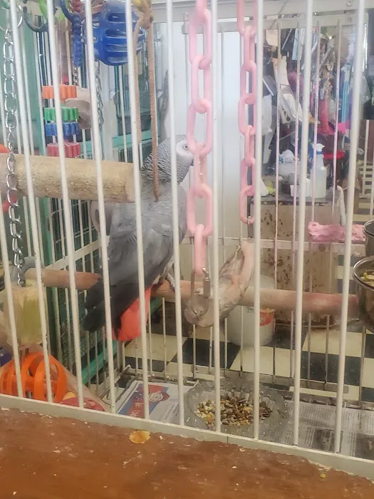 Scottsburg Pet Center Picture 2