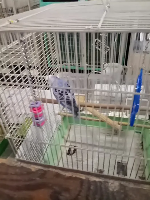 Scottsburg Pet Center Picture 3