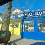 Ramsey Creek Kennels