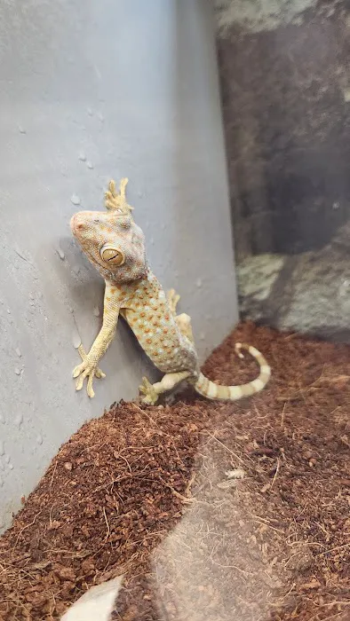 Petco Picture 10