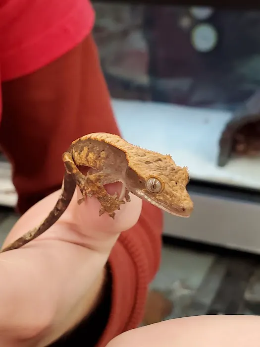Petco Picture 12