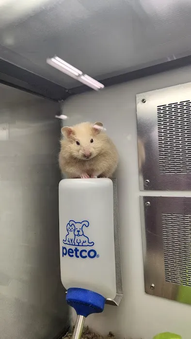 Petco Picture 15