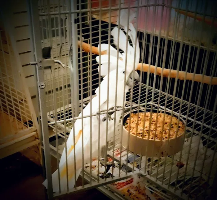 Critter Corner Pet Shop Picture 1