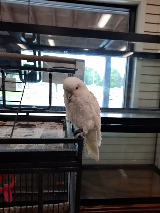 Critter Corner Pet Shop Picture 4
