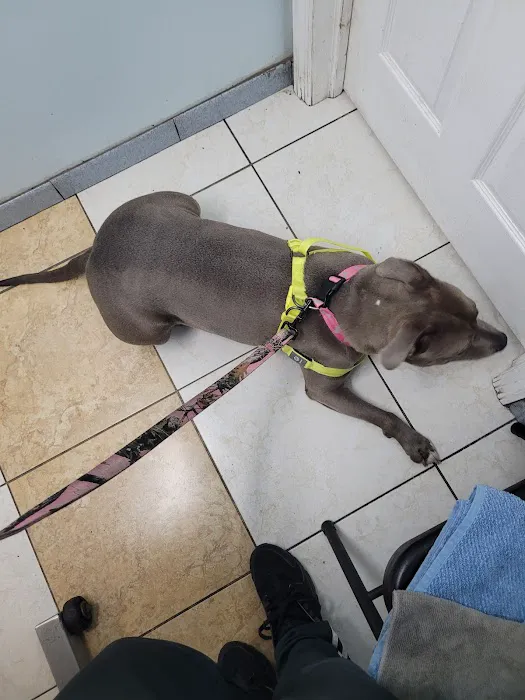 Merrick Blvd Animal Hospital Picture 7
