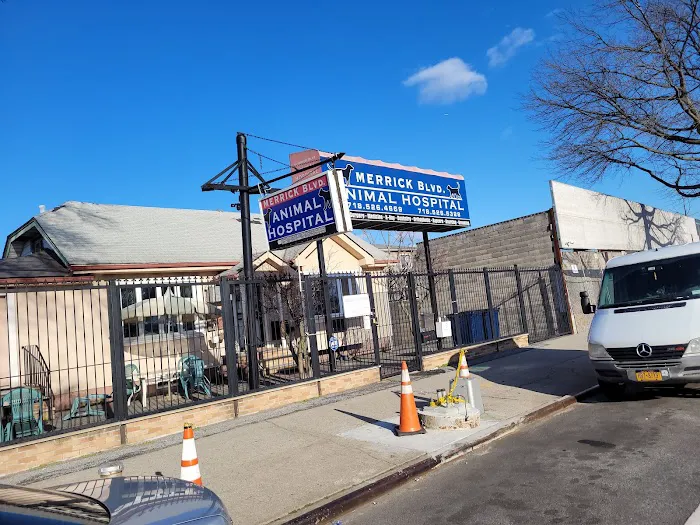 Merrick Blvd Animal Hospital Picture 10