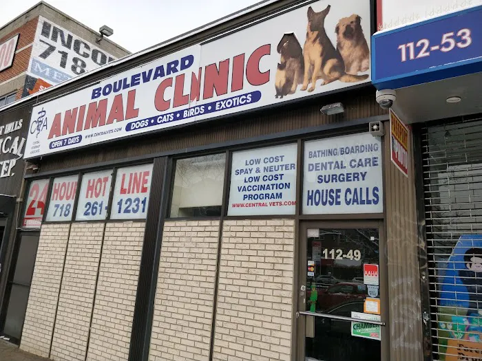 Premier Veterinary Medical Group - Forest Hills Picture 7