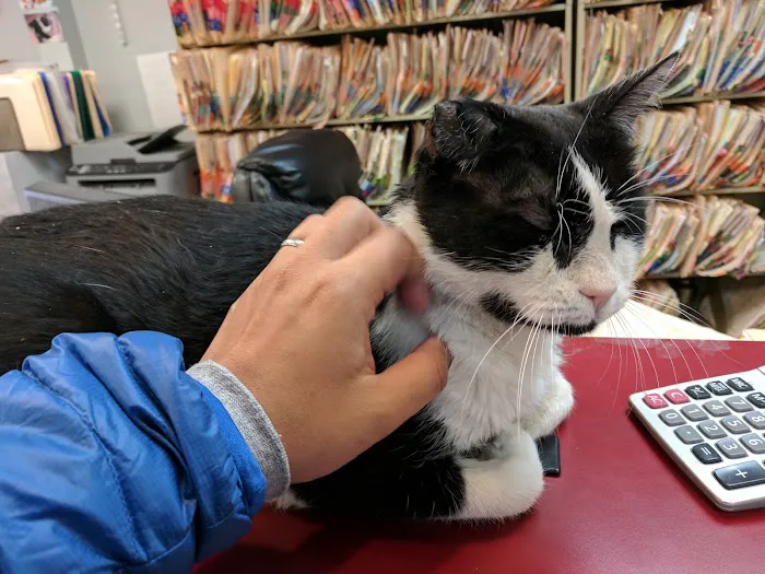 Forest Hills Cat Hospital Picture 5