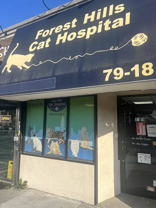 Forest Hills Cat Hospital Picture 6