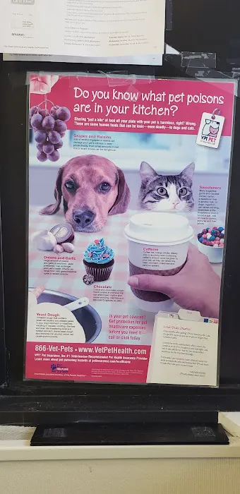 Forest Hills Cat Hospital Picture 9